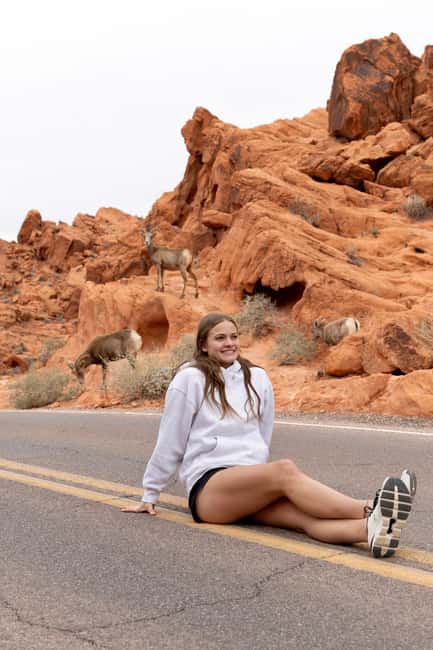 Las Vegas: Valley of Fire and Red Rock Canyon Day Trip - Elephant Rock and the Cabins: two easy introductions