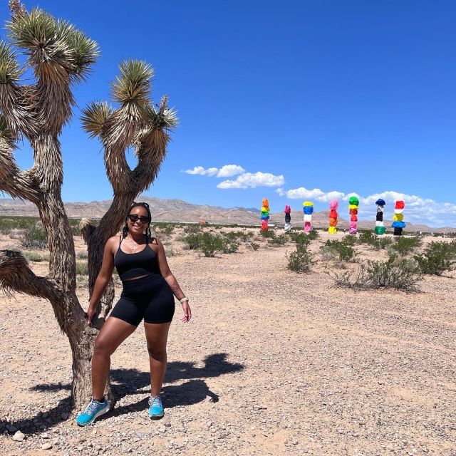 Las Vegas: Valley of Fire and Red Rock Canyon Day Trip - The van ride matters more than you might expect
