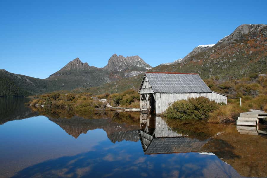 Launceston: Cradle Mountain Guided Active Day Trip - Key points to know before you book
