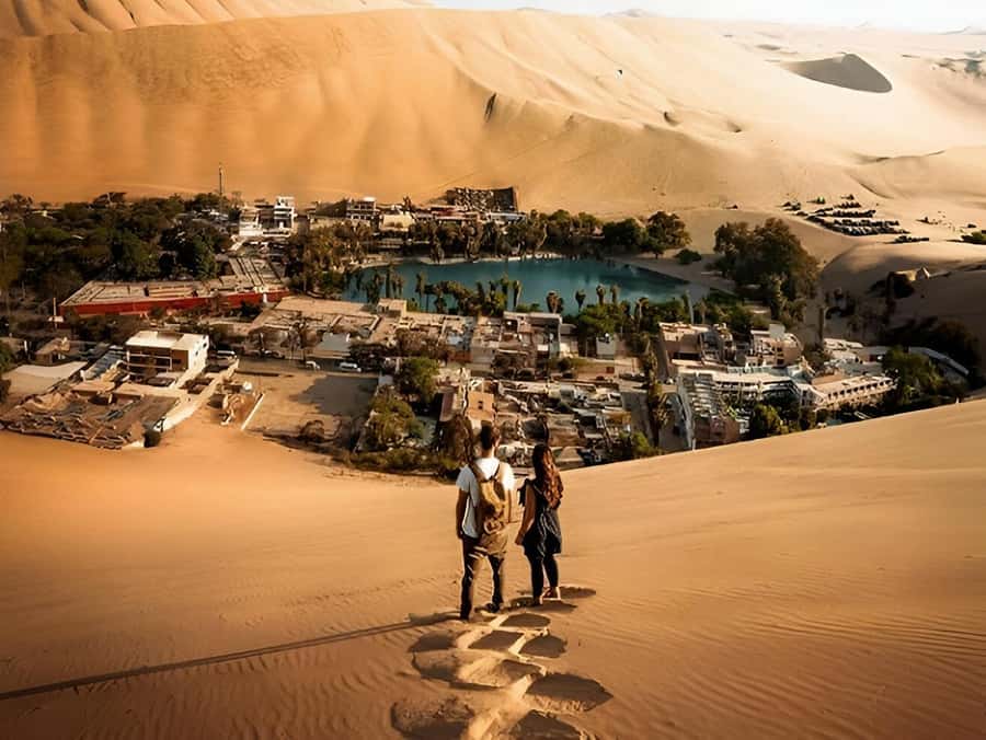 Lima: Paracas & Huacachina Oasis Day Trip with Wine & Dunes - Paracas and the Ballestas Islands by boat