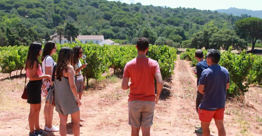 Lisbon: Arrábida and Sesimbra Day Trip with Wine - A family estate gives the wine day a personal feel