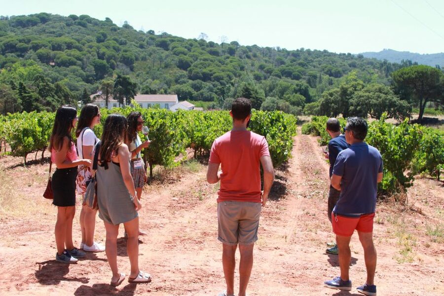 Lisbon: Arrábida and Sesimbra Day Trip with Wine - Palmela brings the first big view