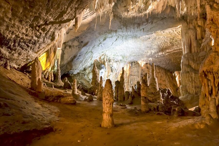 Ljubljana: Lake Bled & Postojna Cave Day Trip - Bled Castle and the cost of optional extras