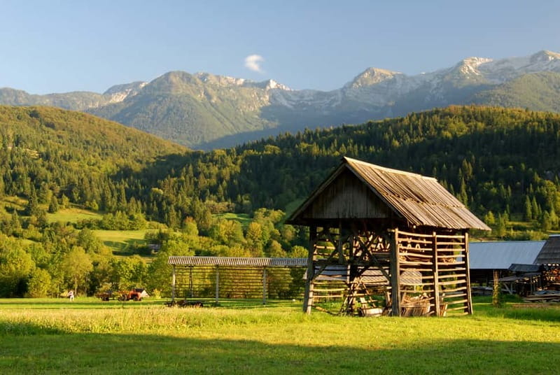 Ljubljana: Lake Bled & Triglav National Park Full-Day Trip - Lake Jasna is the quiet visual highlight