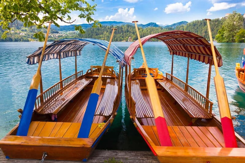 Ljubljana: Lake Bled & Triglav National Park Full-Day Trip - Lake Bled gives you the classic Slovenian view