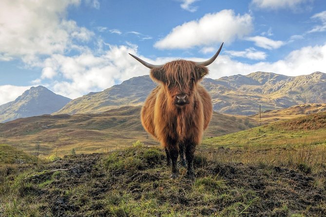 Loch Ness, Glencoe & the Highlands Guided Day Tour from Edinburgh - Urquhart Castle and the choice between history and water