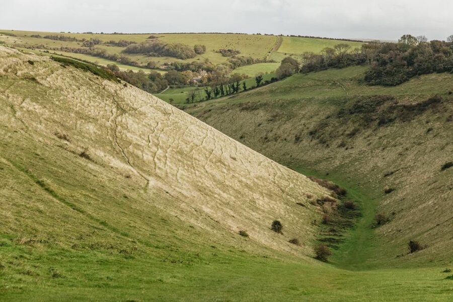 London: South Downs White Cliffs Day Trip with Train Tickets - At a glance