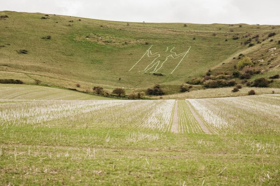 London: South Downs White Cliffs Day Trip with Train Tickets - Why this South Downs day trip works