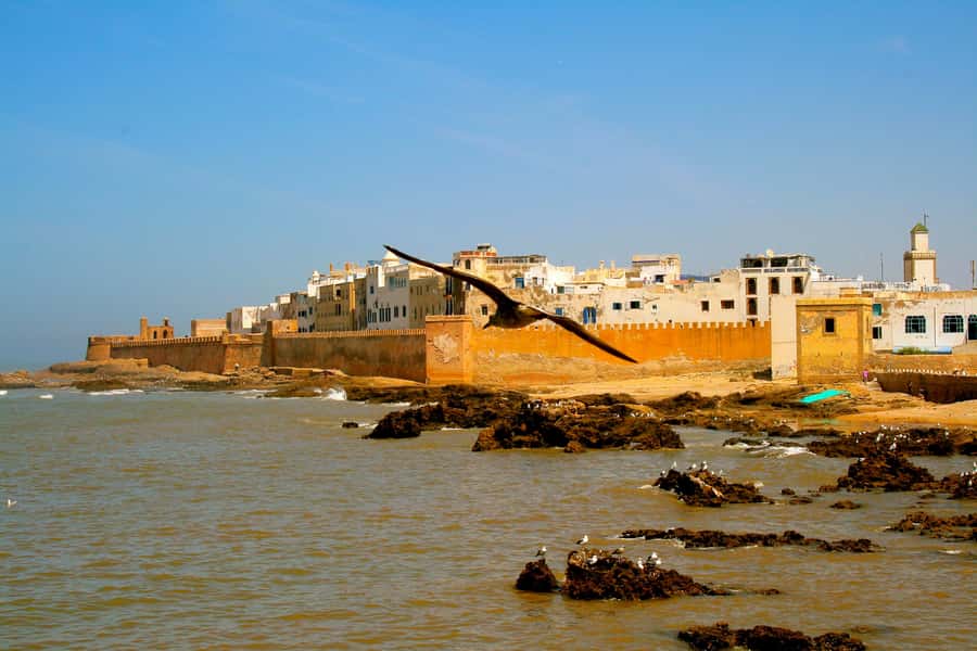 Luxury day trip to Essaouira from Marrakech - Four hours for the medina, ramparts, and beach