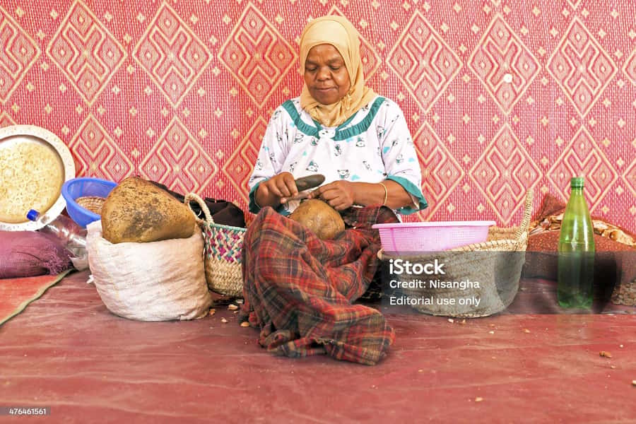 Luxury day trip to Essaouira from Marrakech - Who should book this Essaouira day trip