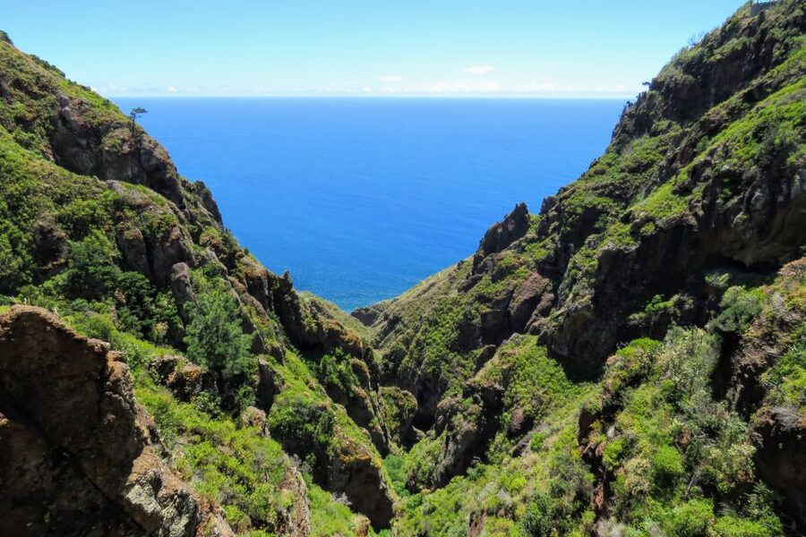 Madeira : Santo de Serra Local Farmers' Market half day trip - Who will enjoy this tour most?