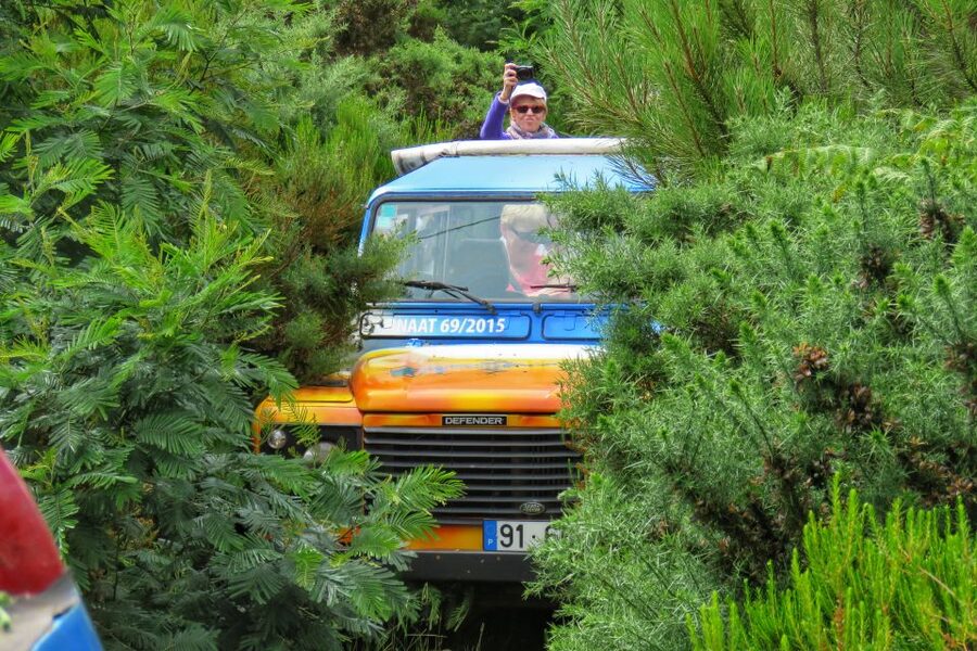 Madeira : Santo de Serra Local Farmers' Market half day trip - Should you book the Santo da Serra market tour?