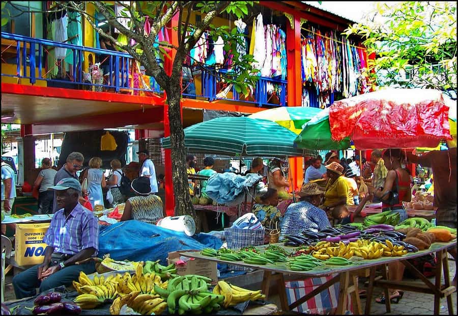 Mahé Island: Island Highlights Guided Day Trip with Lunch - Lunch Before the Garden Walk