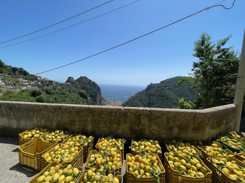 Maiori: Amalfi Coast Path of Lemons Day Trip with Tastings - Giovanni Ruocco’s farm and the extra €15