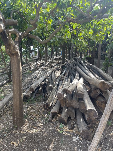 Maiori: Amalfi Coast Path of Lemons Day Trip with Tastings - How the guides shape the experience