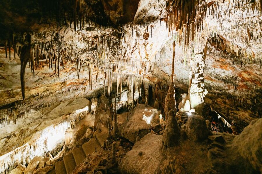 Mallorca: Caves of Drach Day Trip & Optional Caves of Hams - Should you book the Caves of Drach tour?