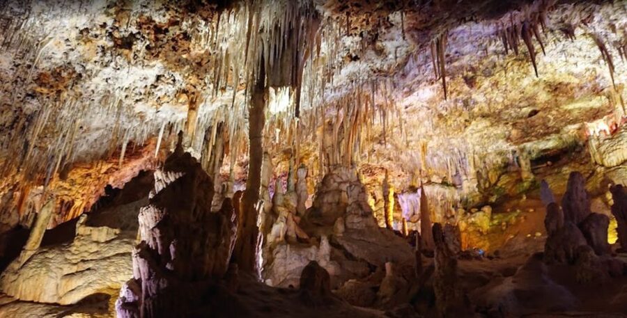 Mallorca: Day Trip to Caves of Hams & Optional Dinosaurland - Should you book the Caves of Hams tour?
