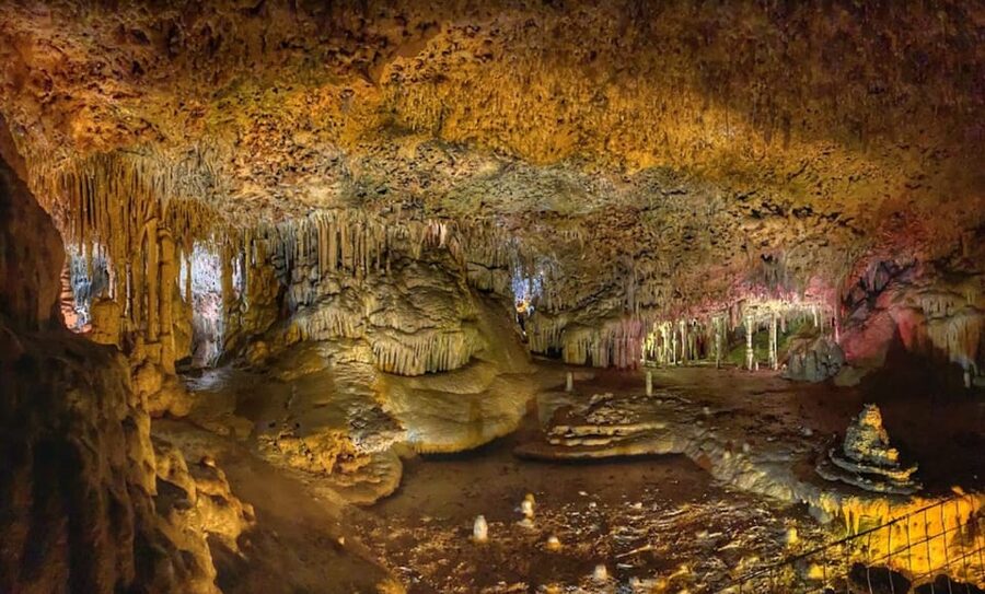 Mallorca: Day Trip to Caves of Hams & Optional Dinosaurland - Choosing the Dinosaurland option on Thursday
