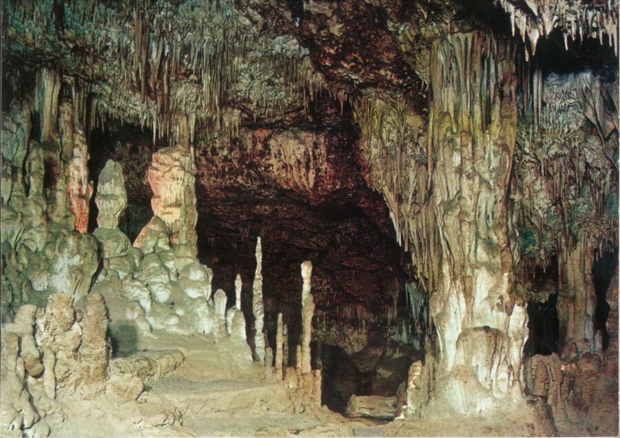 Mallorca: Day Trip to Caves of Hams & Optional Dinosaurland - Family comfort, music, and pacing