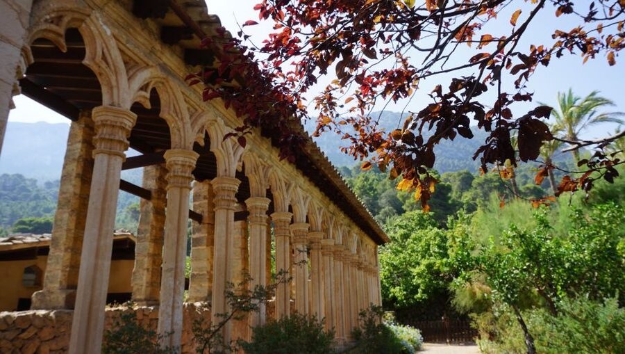 Mallorca: Day Trip to Hidden Gems of Tramuntana with Lunch - What the $147 price includes