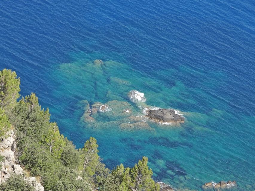 Mallorca: Day Trip to Hidden Gems of Tramuntana with Lunch - Timing, comfort, and practical concerns