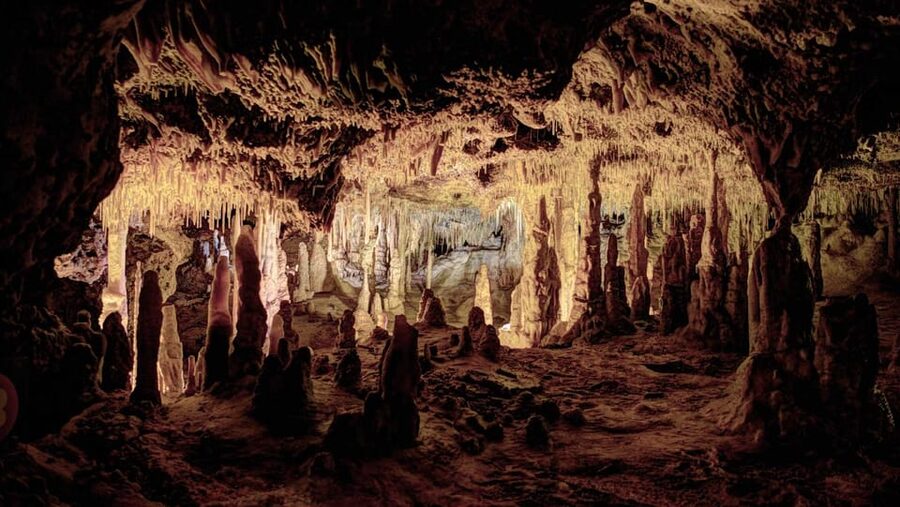 Mallorca: Drach Caves, Lake Martel, & Pearl Factory Day Trip - Lake Martel and the music on the water
