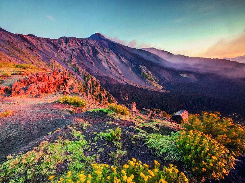 Malta: Mount Etna and Taormina Guided Day Trip by Catamaran - The return journey through Sicily and Pozzallo