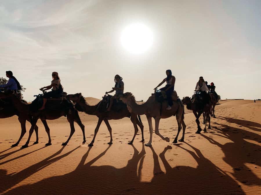 Marrakech: 3-Day Trip to Fez with Sandboarding & Camel Ride - Should you book it?