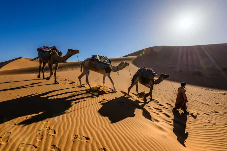Marrakech: 3-Day Trip to Fez with Sandboarding & Camel Ride - Guides, group size, and comfort on the road