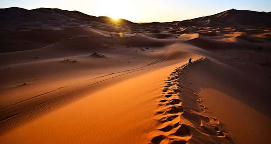 Marrakech: 3-Day Trip to Fez with Sandboarding & Camel Ride - Who should book this Morocco desert trip?