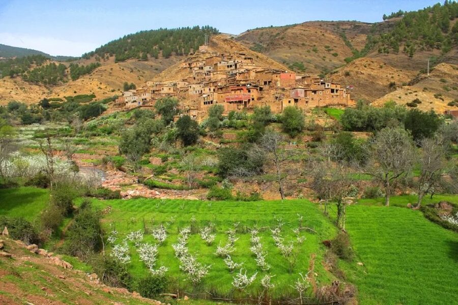 Marrakech: Atlas Mountains Day Trip, 3 Valleys & Waterfalls - Practical advice for making the day better
