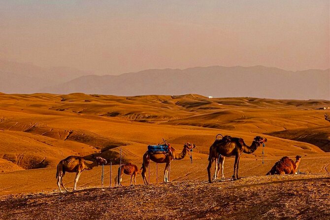 Marrakech Day Trip: Agafay Desert, Atlas Mountains and Camel Ride - Entering the High Atlas around Imlil
