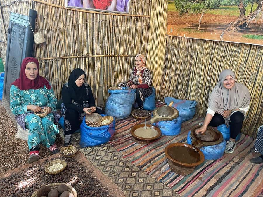 Marrakech: Day Trip To Atlas Mountains Ourika Waterfall - What to bring and how to prepare