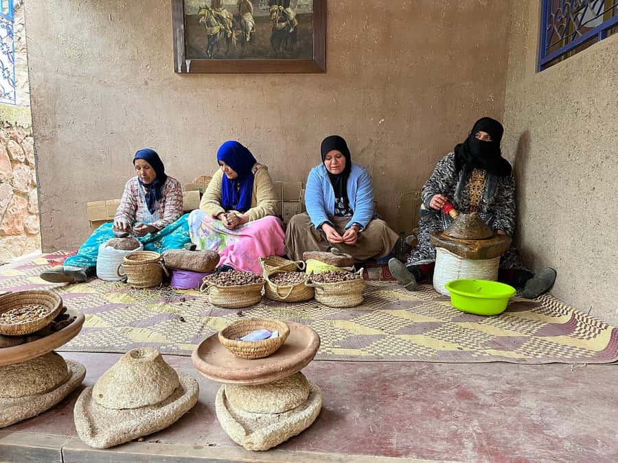 Marrakech: Day Trip To Atlas Mountains Ourika Waterfall - Who should book this Ourika Valley trip?