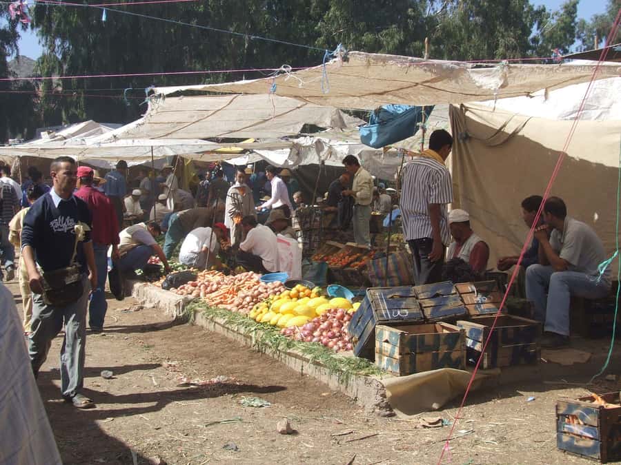 Marrakech Day Trip to Ourika valley & Waterfalls - A Berber Family, Mint Tea, and Local Life