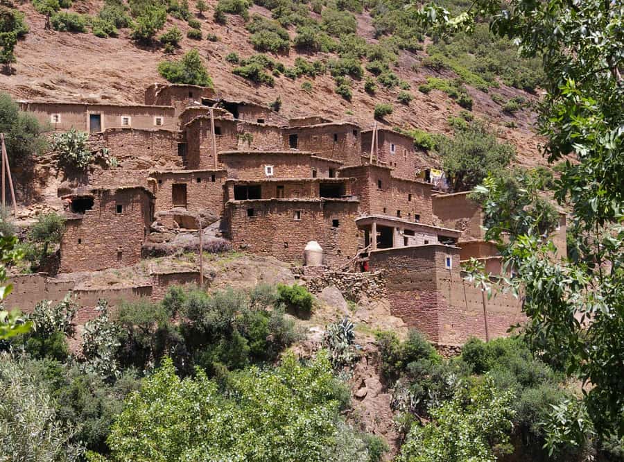 Marrakech Day Trip to Ourika valley & Waterfalls - Hiking to the Ourika Waterfalls
