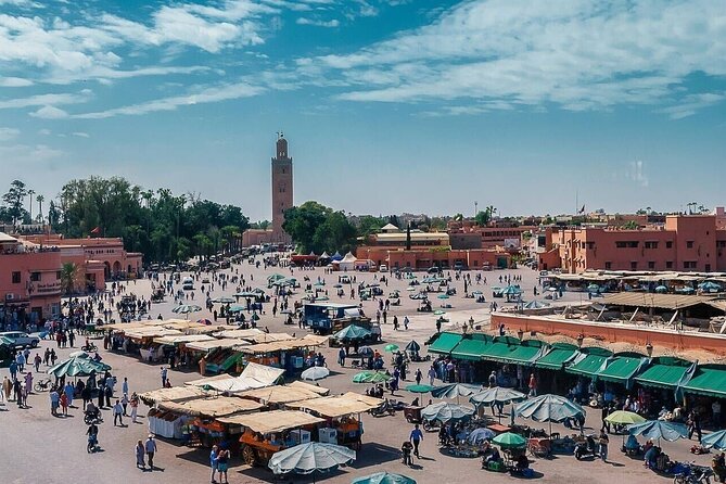 Marrakech Day Trip with Camel Ride from Casablanca - Le Jardin Secret and the quieter side of the Medina
