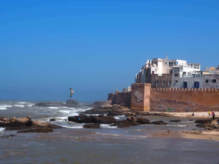 Marrakech: Essaouira Day Trip with Transfers and Co-op Visit - Key points at a glance