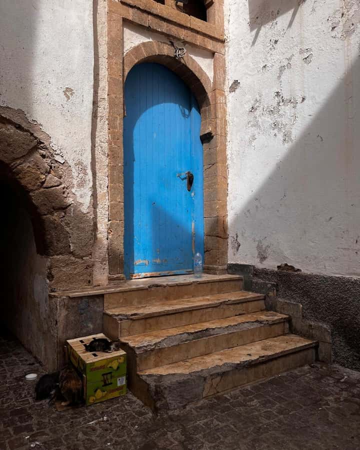 Marrakech: Essaouira Day Trip with Transfers and Co-op Visit - The argan trees and the women’s cooperative