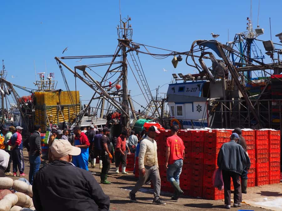 Marrakech: Essaouira Day Trip with Transfers and Co-op Visit - Morning pickup and the road west