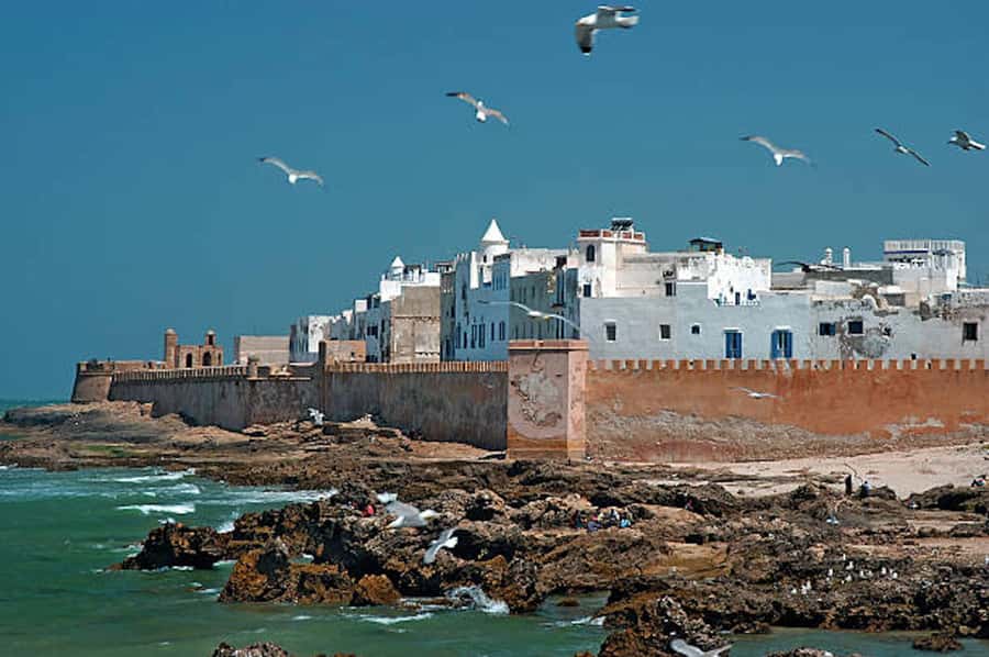 Marrakech: Essaouira Full-Day Trip - The argan oil stop adds local context