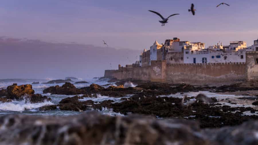 Marrakech: Essaouira Full-Day Trip - Leaving Marrakech at 8:00 AM