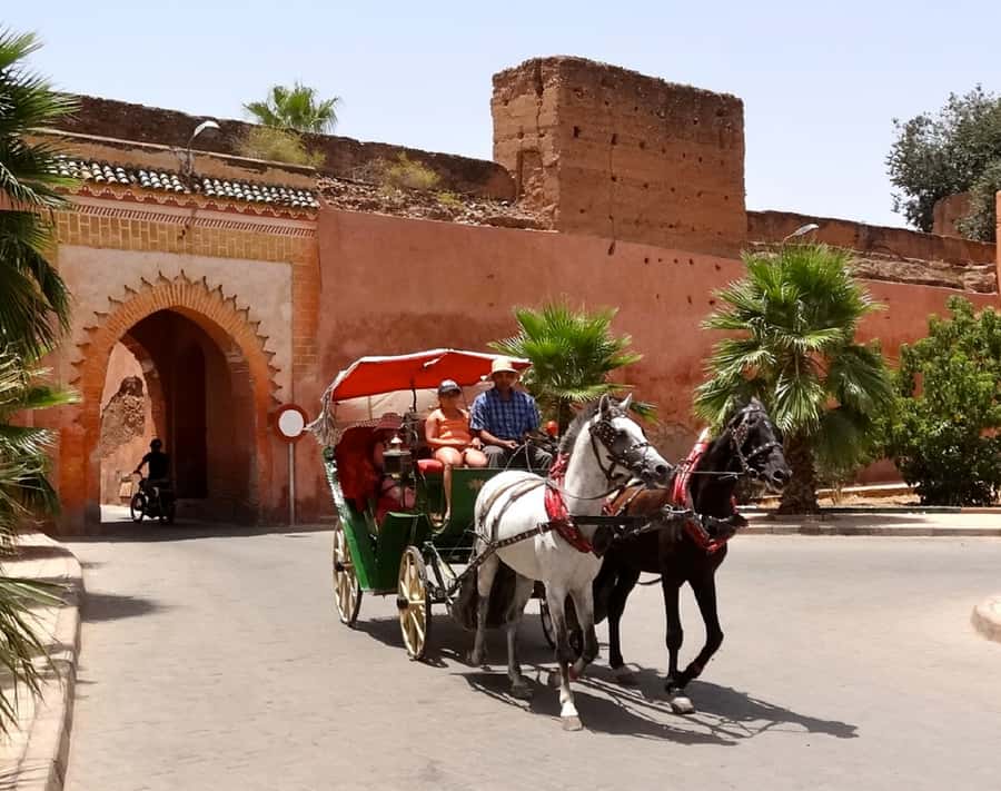 Marrakech Excursion Full Day Trip From Agadir - Lunch, rooftop views, and the question of value