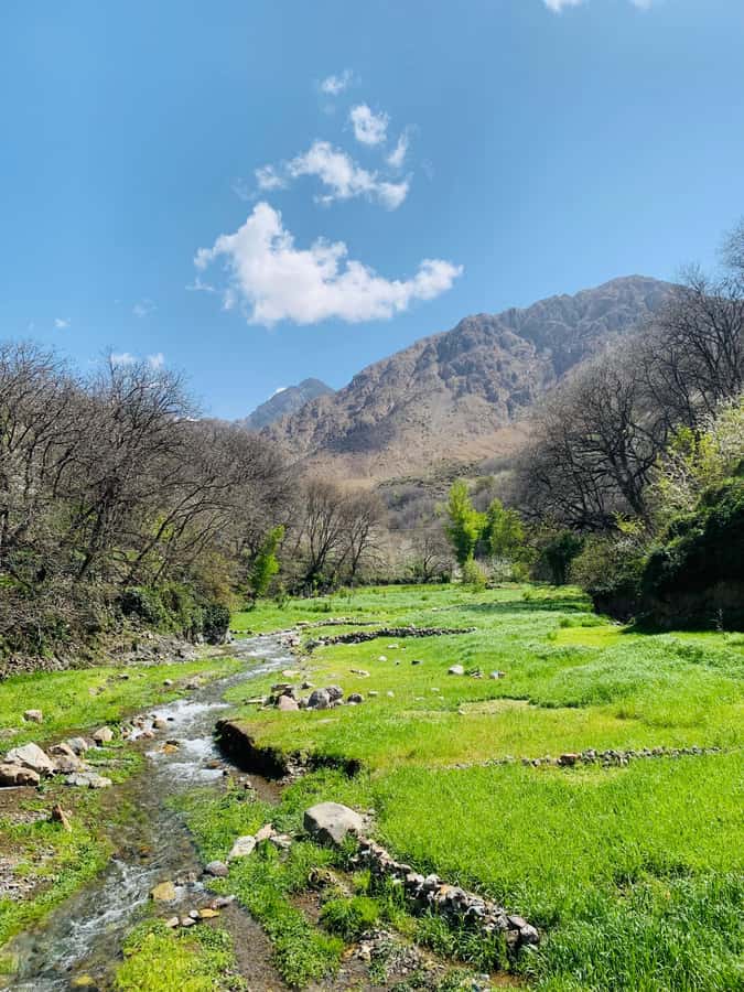 Marrakech: Imlil Atlas Mountains Day Trip with Lunch - Who should book this day trip?