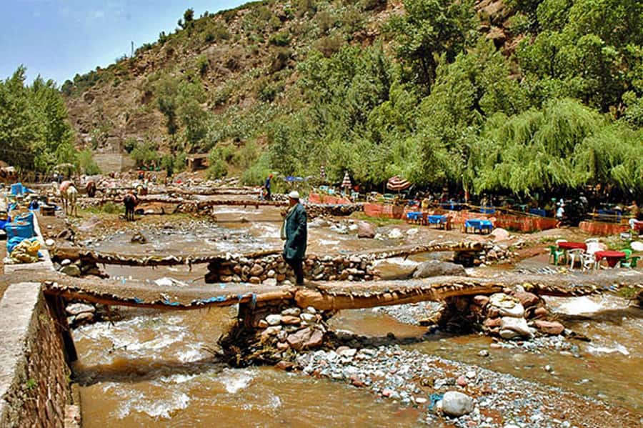 Marrakech: Ourika Valley and Atlas Mountains Day Trip - Guides, drivers, and the pace of the day