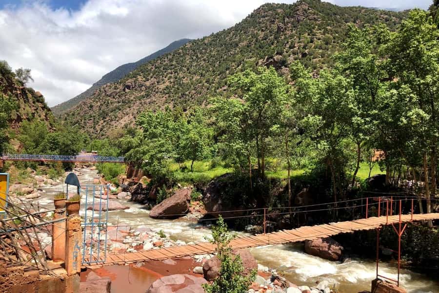Marrakech: Ourika Valley and Atlas Mountains Day Trip - Who should book this day trip?