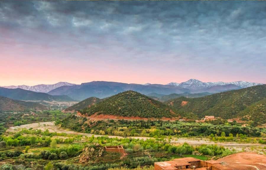 Marrakech: Ourika Valley Day Trip & Waterfalls Hike - Key points to know before you book
