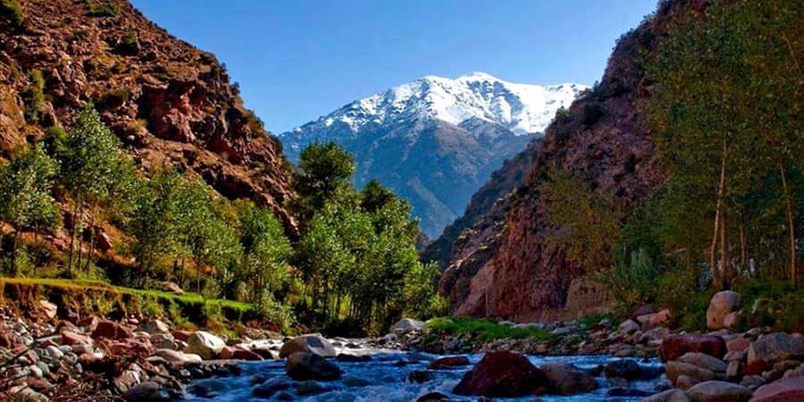Marrakech: Ourika Valley Day Trip & Waterfalls Hike - Ourika Valley stops, Berber life, and the Argan oil cooperative