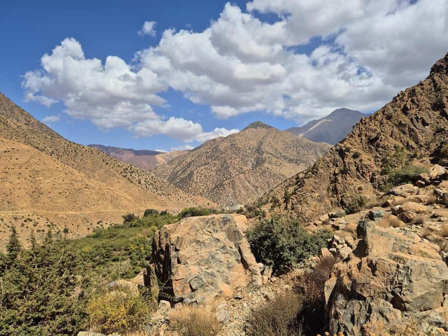 Marrakech: Ourika Valley, Waterfalls Private Trip with Lunch - The road through the Atlas Mountains