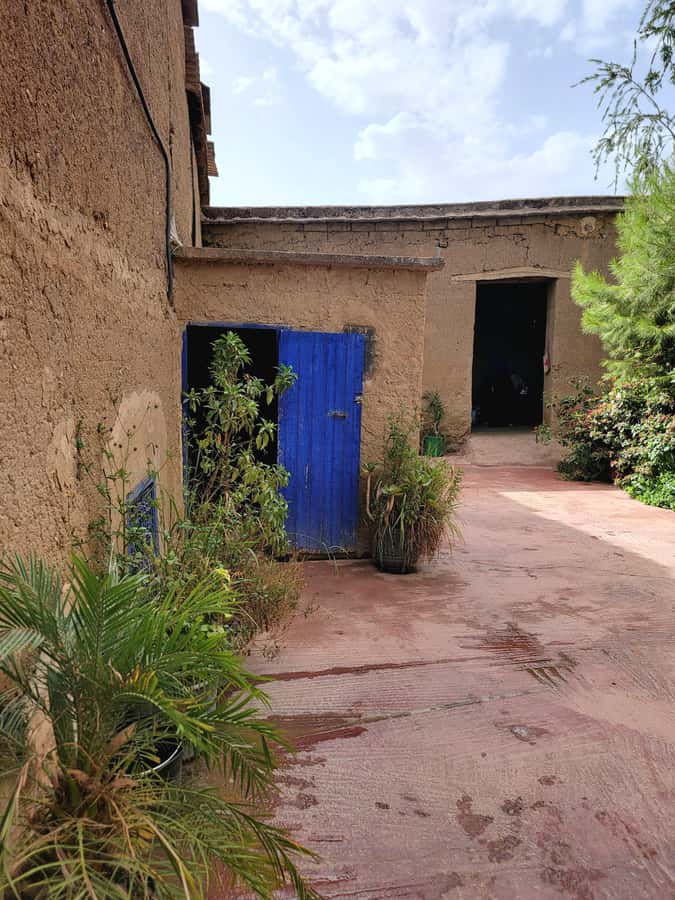 Marrakech: Ourika Valley, Waterfalls Private Trip with Lunch - Lunch beside the Ourika River